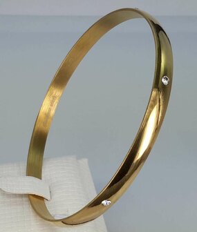 Edelstaal slaaf Armband goudkleurig met 6 kristal omheen.