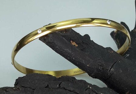 Edelstahl Slave Armband Goldfarbe mit 6 Kristall um ihn herum.