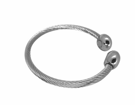 Edelstaal Dames Armband, kabel, 2 ei, magneet