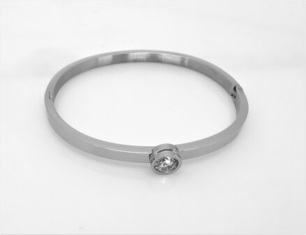 Edelstaal smalle slaaf Armband met 5 mm kristal.