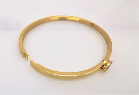 Edelstaal smalle slaaf Armband goudkleurig met 5 mm kristal.
