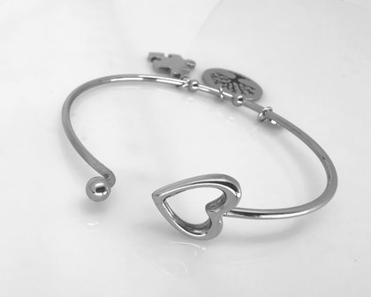 Edelstaal smalle ronde Armband met 3 bedel.