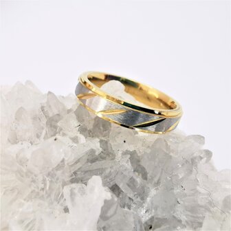 Edelstaal Ringen, Mat zilverkleurig ring met goud streep en rand. doos 36st