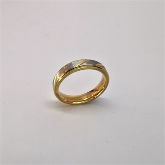 Edelstaal Ringen, Mat zilverkleurig ring met goud streep en rand. doos 36st