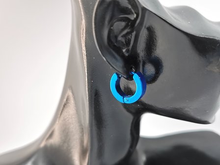 Stalen - blauw metallic kleurig oorringen.