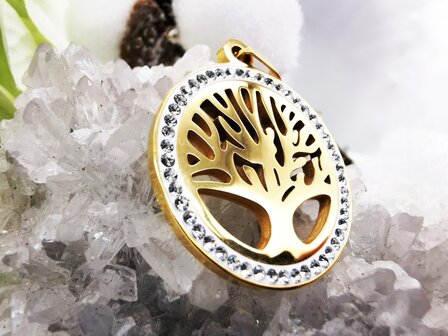 Edelstahl-Anh&auml;nger Lebensbaum mit Zirkonia Rand (Tree of Life) goldfarben (25 mm)