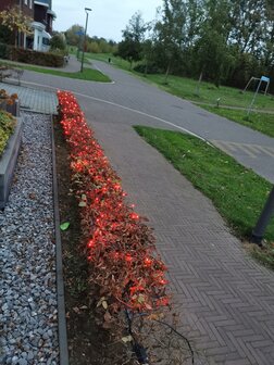 Oranje lichtsnoer, 200 oranje leds, 20 meter, 8 progamma&rsquo;s &amp; afstandsbedienig, doorkoppelbaar, IP44, voor binnen en buiten