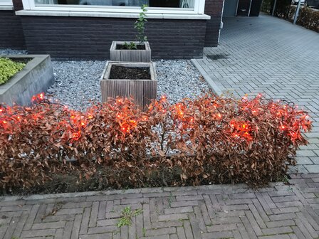 Oranje lichtsnoer, 200 oranje leds, 20 meter, 8 progamma&rsquo;s &amp; afstandsbedienig, doorkoppelbaar, IP44, voor binnen en buiten