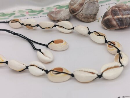 Halskette B&ouml;hmische Kaurimuschel, Schwarz verstellbares Seil.