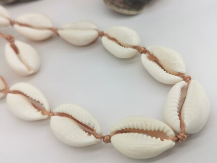 Enkelbandje Bohemian kauri schelp, beige kleur touw.