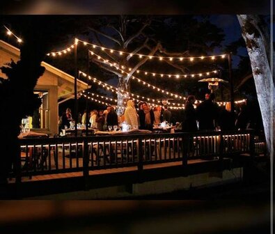 partykabel, 25 mtr 40 fittingen + contrastekker en 40 led lamp