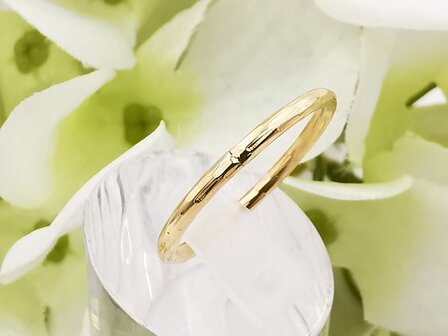 RVS goudkleurig minimalistische ring , Motief.