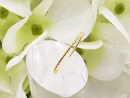 RVS goudkleurig minimalistische ring , Twisted.