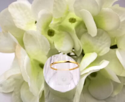 RVS goudkleurig minimalistische ring , golvend detail.