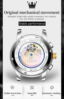 OLEVS Mechanische Uhr, Edelstahl, Tachymeter, Tourbillon, Monat-Tag, Wochentag, Jahr, Monat, 24-Stunden-Mondphasenanzeige, 5 Versionen