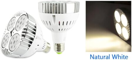 Led Par30, E27