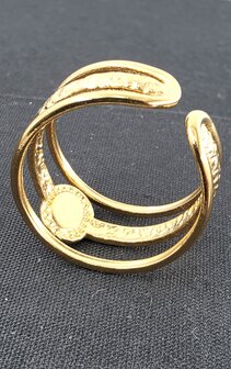 Ring RVS Turkoois Edelsteen goudkleurige