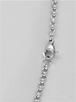 Ketting - RVS ronde schakel L 60 cm - D 2.5mm 