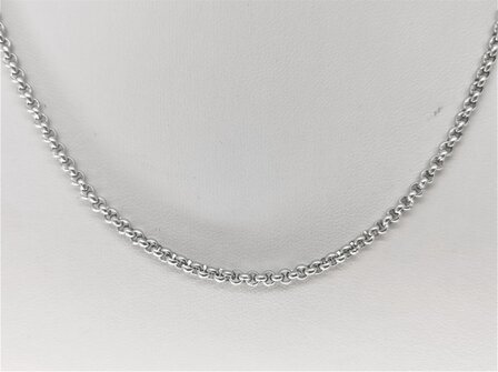 Ketting - RVS ronde schakel L 60 cm - D 2.5mm 