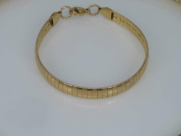 Edelstaal Omega Choker armband, glad / hamerslag, goudkl