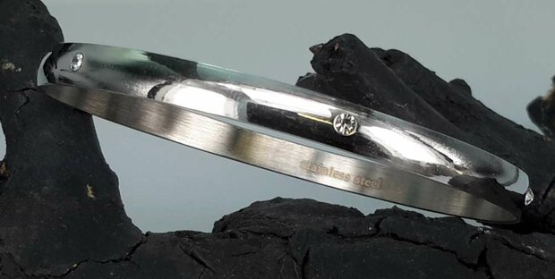 Edelstaal slaaf Armband breed met 6 kristal omheen.