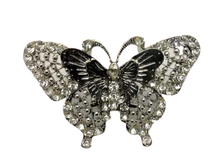 Schalring, Schmetterling, strass