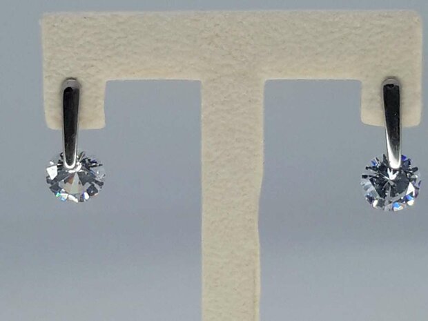 Edelstaal zilverkleurig Oorsteker met rond 10 mm topkwaliteit kristal.
