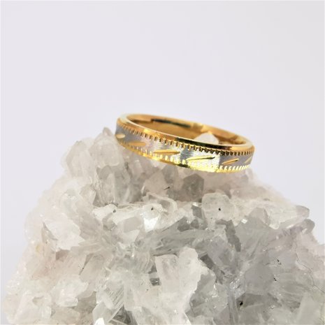 Edelstaal Ringen, Mat zilverkleurig ring met goud streep en rand. doos 36st