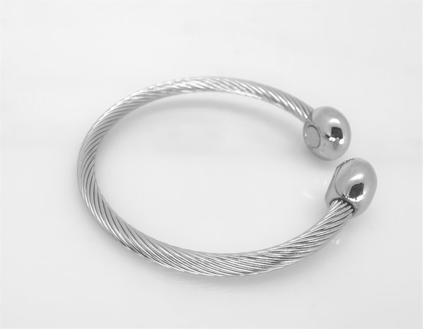 Edelstaal Dames Armband, kabel, 2 ei, magneet