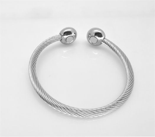 Edelstaal Dames Armband, kabel, 2 ei, magneet