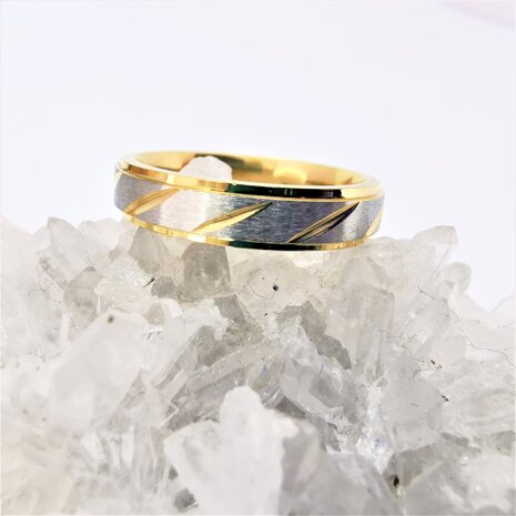 Edelstaal Ringen, Mat zilverkleurig ring met goud streep en rand. doos 36st