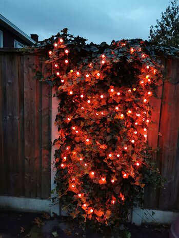 Orange Lichterkette, 100 orange LEDs in weißer Kugel, 10 Meter, 8 Programme & Fernbedienung, verknüpfbar, IP44, für den Innen- und Außenbereich