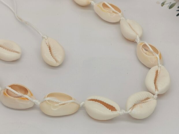 Halskette Böhmische Kaurimuschel, weißes verstellbares Seil.