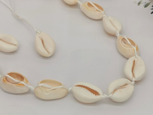 Ketting Bohemian kauri schelp, wit verstelbaar touw.