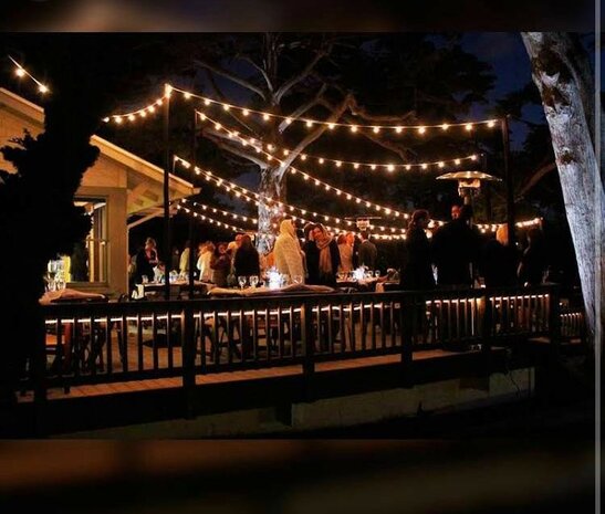 partykabel, 25 mtr 40 fittingen + contrastekker en 40 led lamp