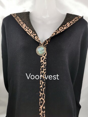 Magnet, Brosche, Perlmutt rund, silberfarben zum Verschlie&szlig;en von Schal, Schal und Strickjacke.