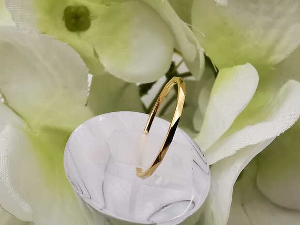 RVS goudkleurig minimalistische ring , golvend detail.