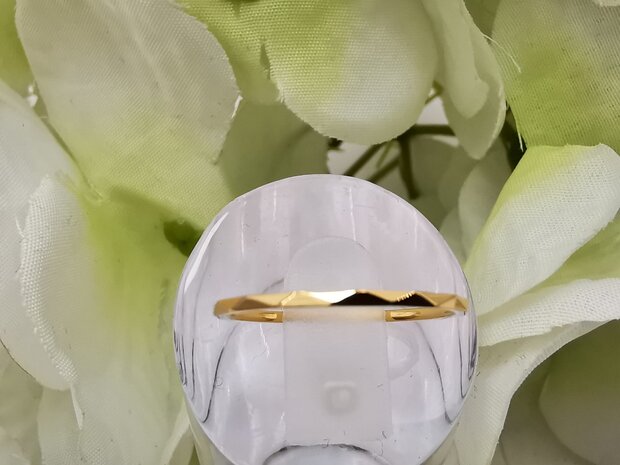 RVS goudkleurig minimalistische ring , golvend detail.
