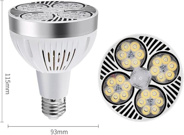 Led Par30, E27