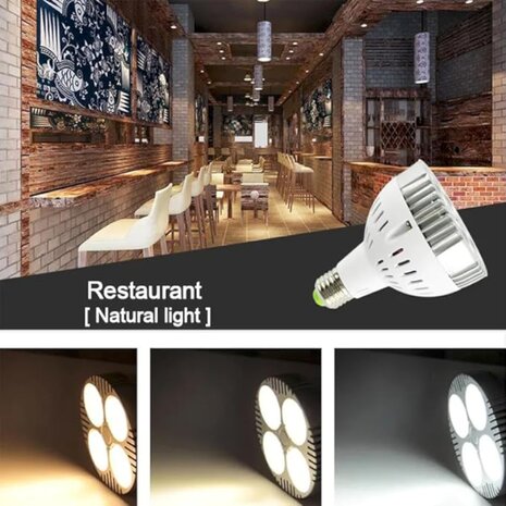 Led Par30, E27
