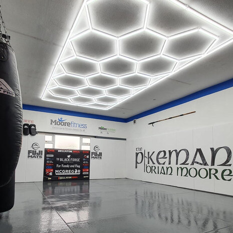 Hexagon ledverlichting voor oa garage, werkplaats, kapsalon, fitness ruimte, energiezuinig,  aluminium frame, kunststof kap